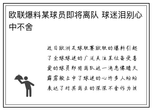 欧联爆料某球员即将离队 球迷泪别心中不舍